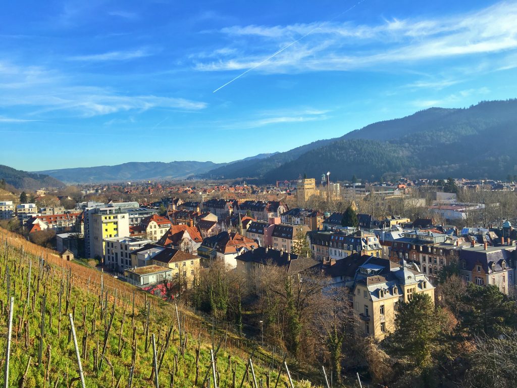 Freiburg Germany Vineyards Wine Region City View