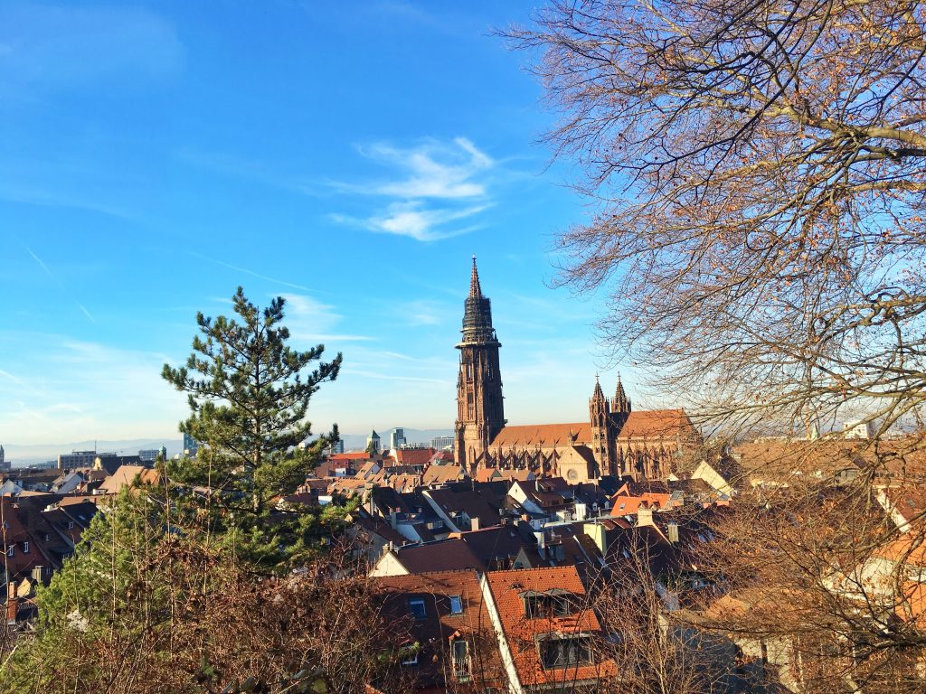 schlossberg hill black forest freiburg germany hike old town