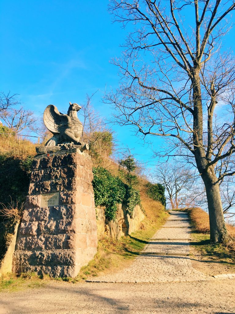 schlossberg hill black forest freiburg germany hike