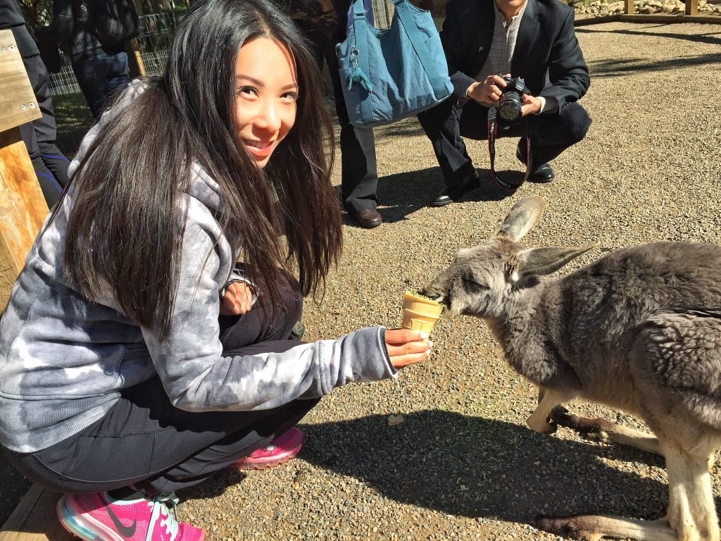 sydney australia travel guide opera house koala kangaroo featherdale wildlife park