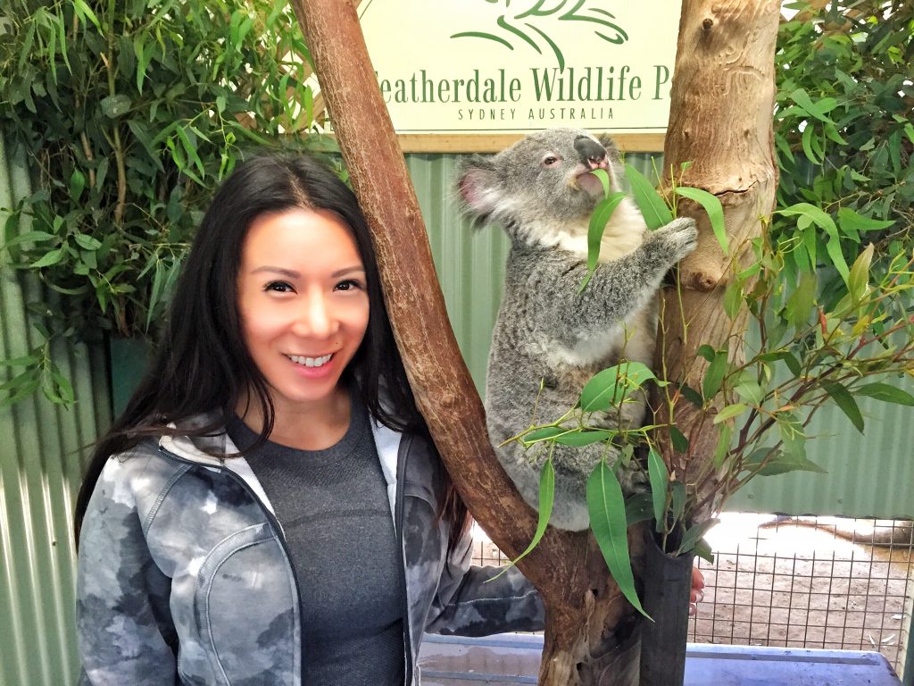 sydney australia travel guide opera house koala kangaroo featherdale wildlife park