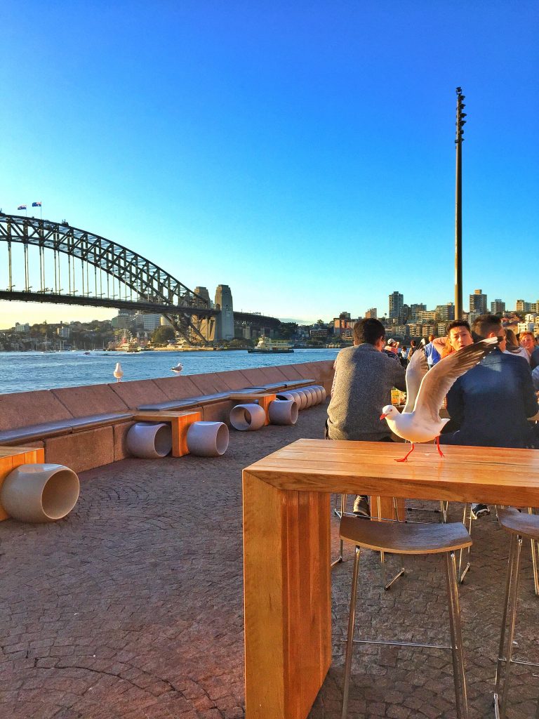 sydney australia travel guide opera house sunset harbour bridge opera bar