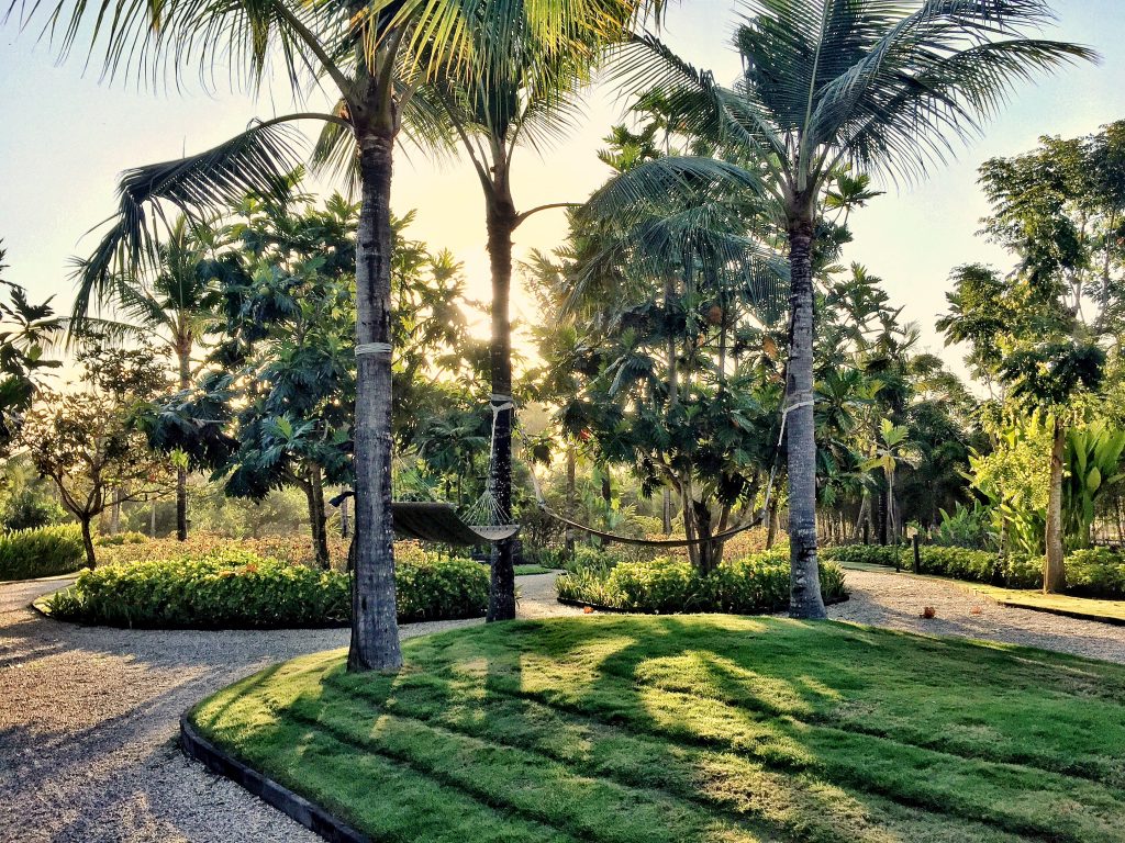 St.Regis Bali hammock