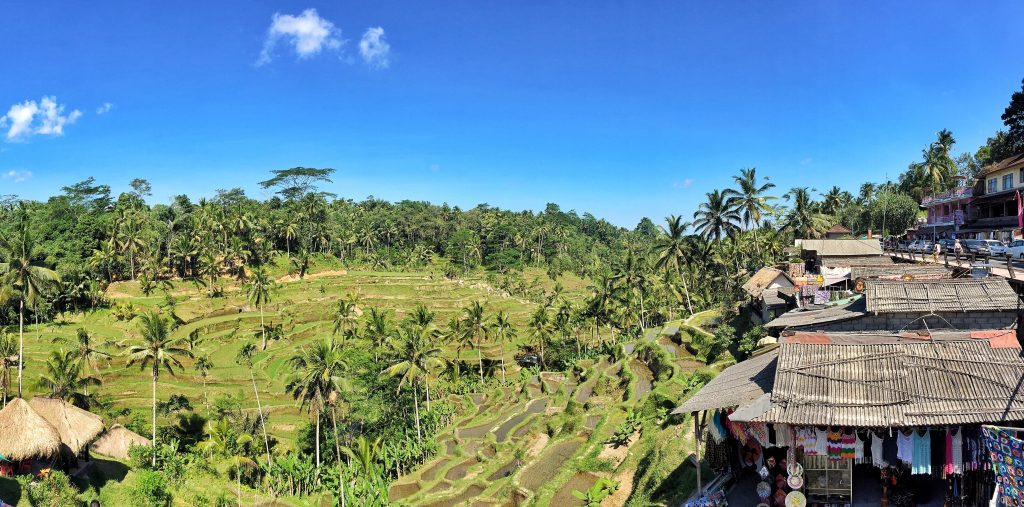Tegallalang Rice Terraces in Bali
